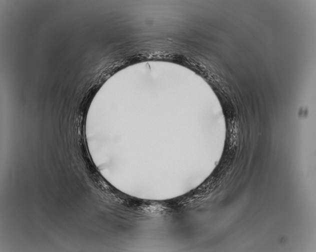 X0000096650695200803041149