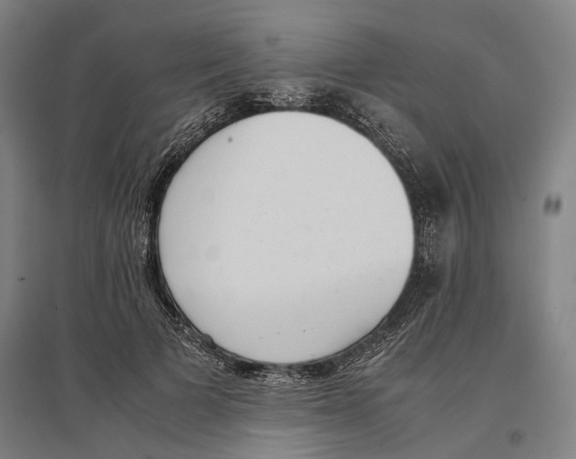 X0000096650697200803041149