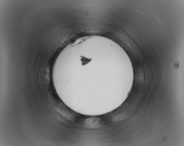 X0000096650700200803041149