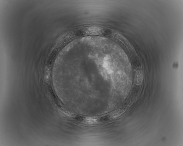 X0000096650701200803041149