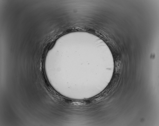 X0000096650703200803041149