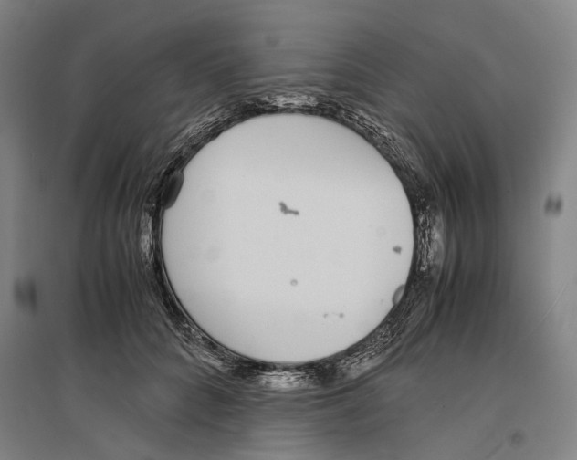 X0000096650704200803041149