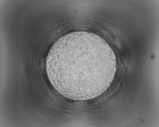 X0000096650707200803041149