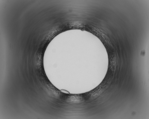 X0000096650708200803041149