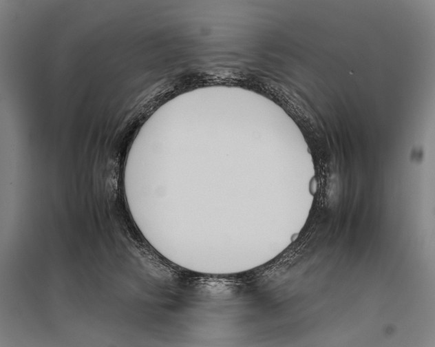 X0000096650710200803041149