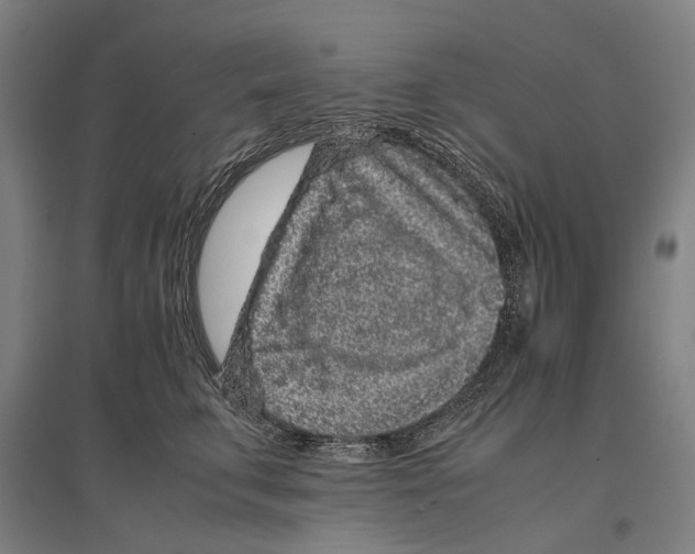 X0000096650711200803041149