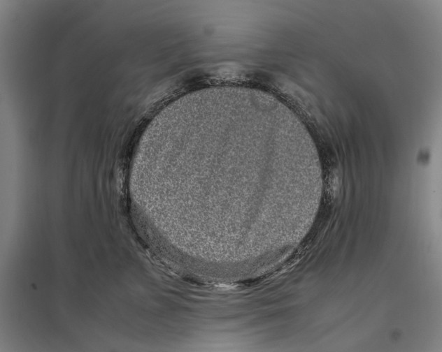 X0000096650715200803041149