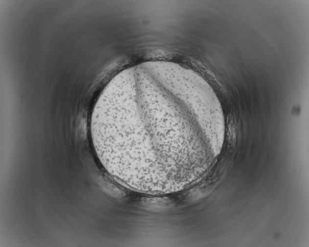 X0000096650716200803041149