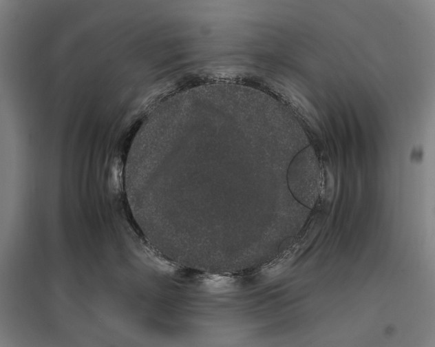 X0000096650718200803041149