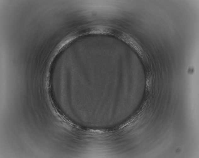 X0000096650724200803041148