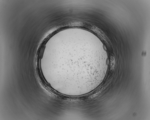 X0000096650726200803041148