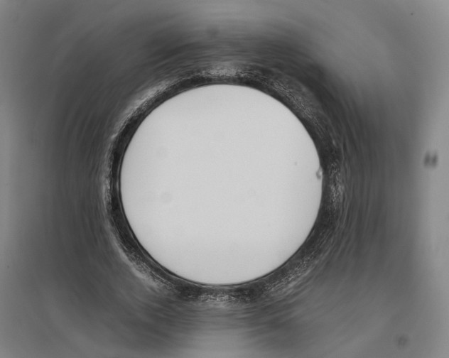 X0000096650728200803041148