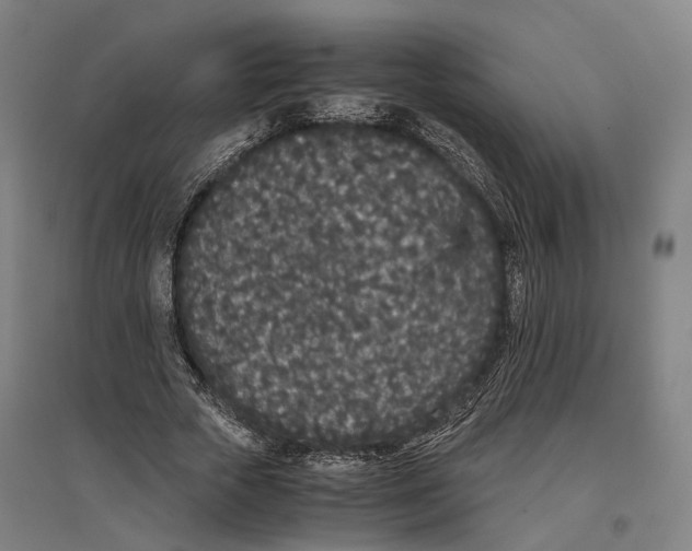 X0000096650729200803041148