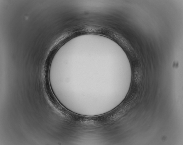 X0000096650730200803041148