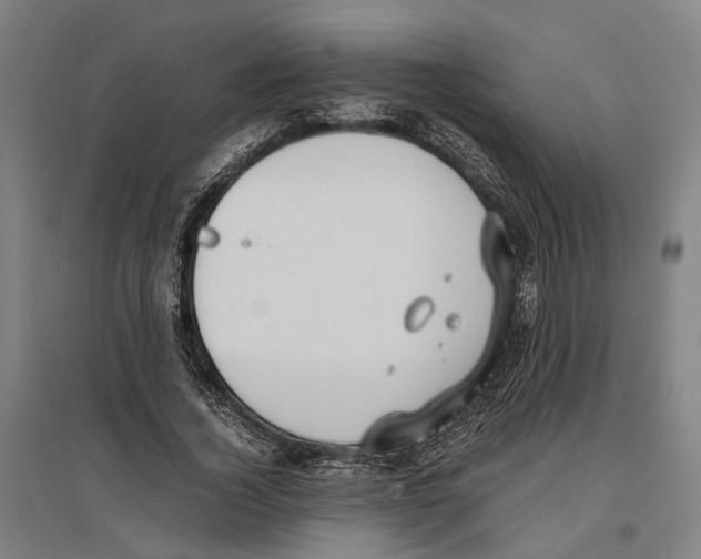 X0000096650732200803041148