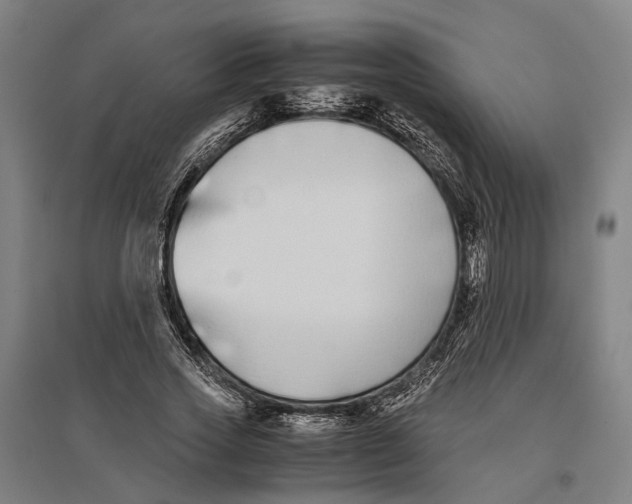 X0000096650733200803041148