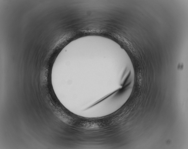 X0000096650735200803041148