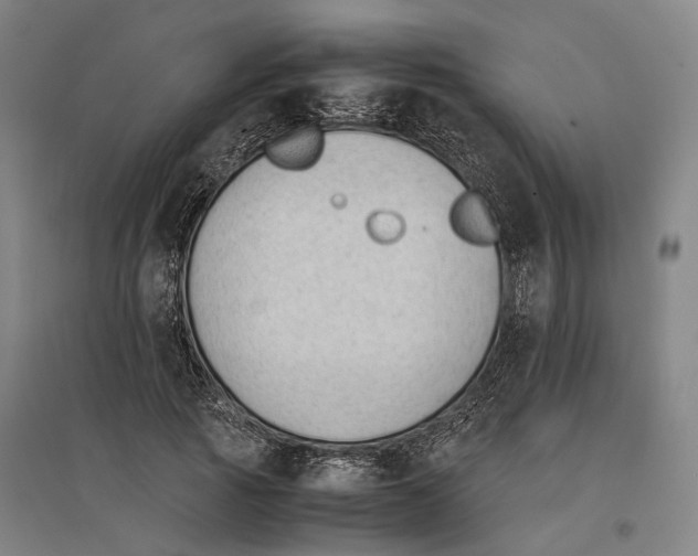 X0000096650737200803041148