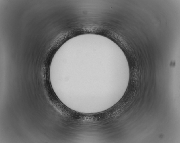 X0000096650738200803041149