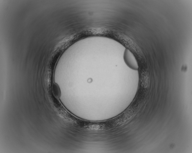 X0000096650740200803041149