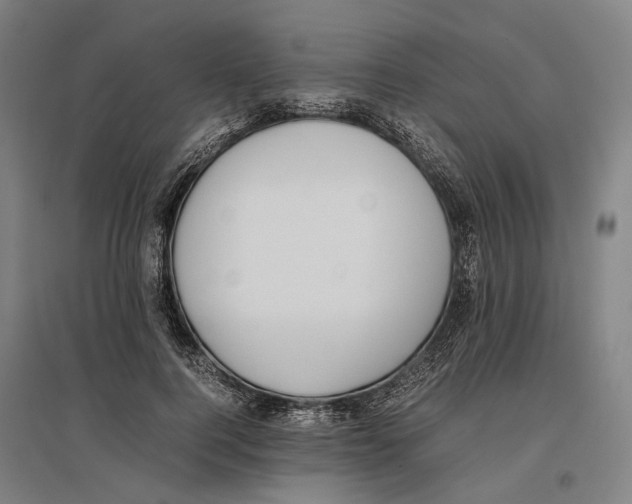 X0000096650744200803041149