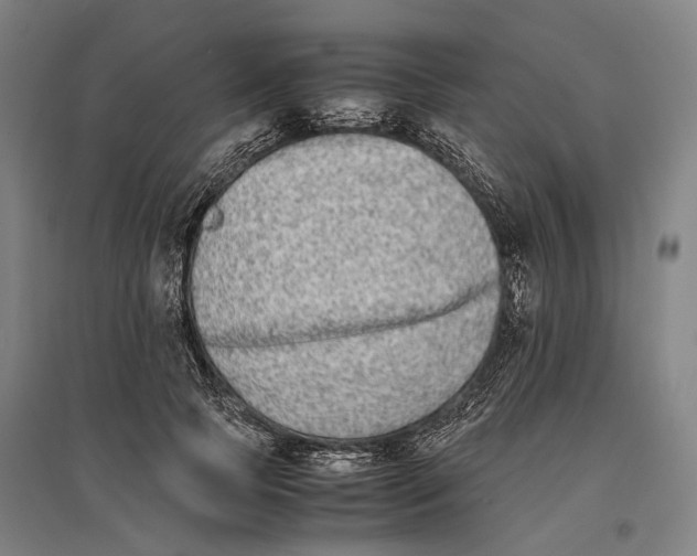 X0000096650745200803041149