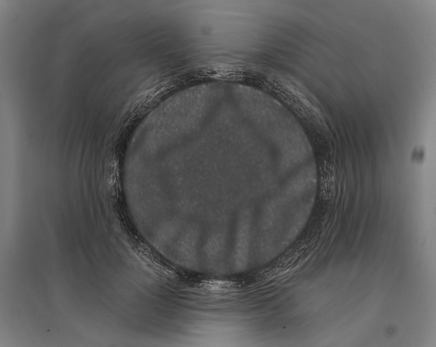 X0000096650748200803041149