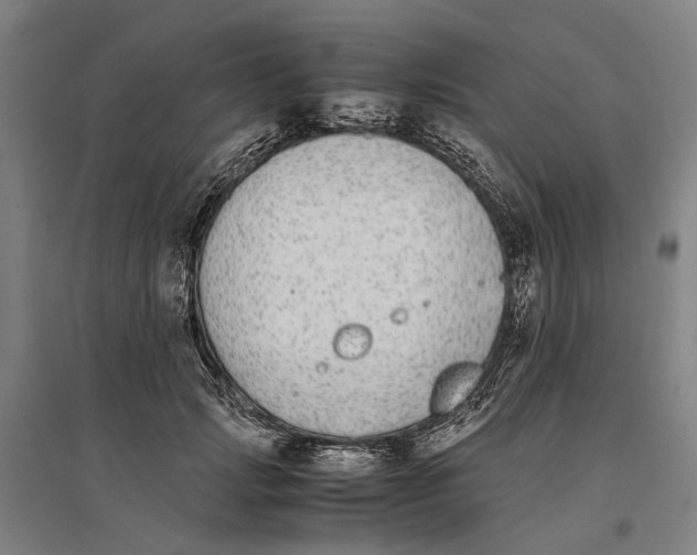 X0000096650749200803041149