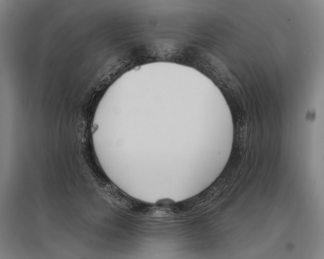 X0000096650750200803041149