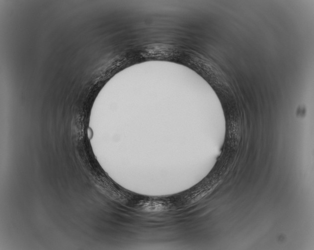 X0000096650751200803041149