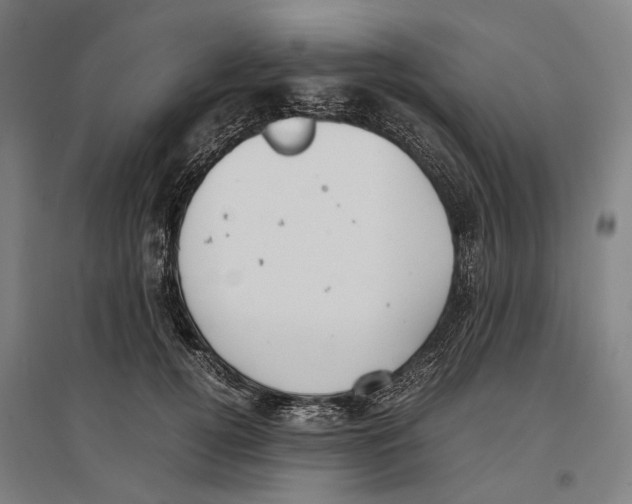 X0000096650752200803041149