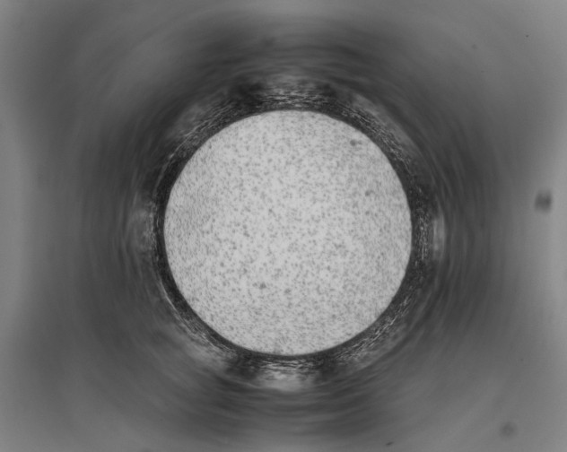 X0000096650757200803041149