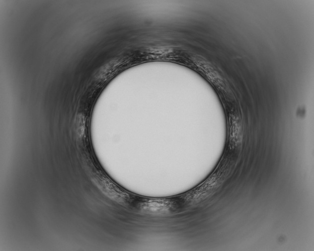 X0000096650758200803041149