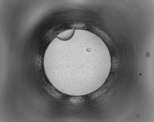 X0000096650761200803041149