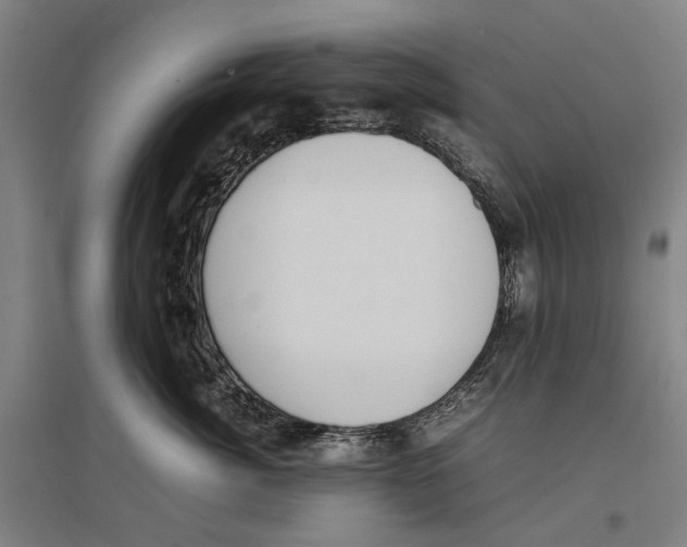 X0000096650764200803041149