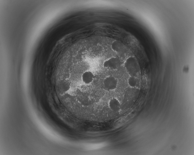 X0000096650765200803041149