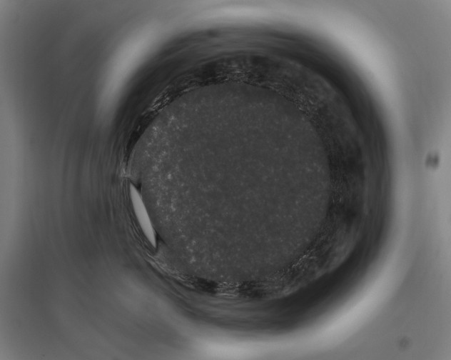 X0000096650766200803041149