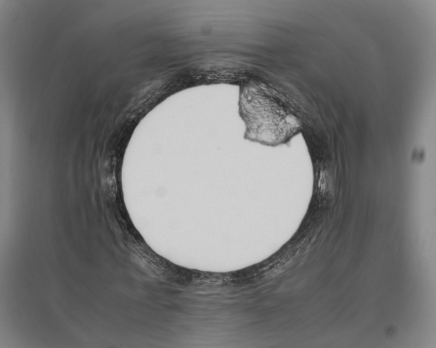 X0000096650771200803041148