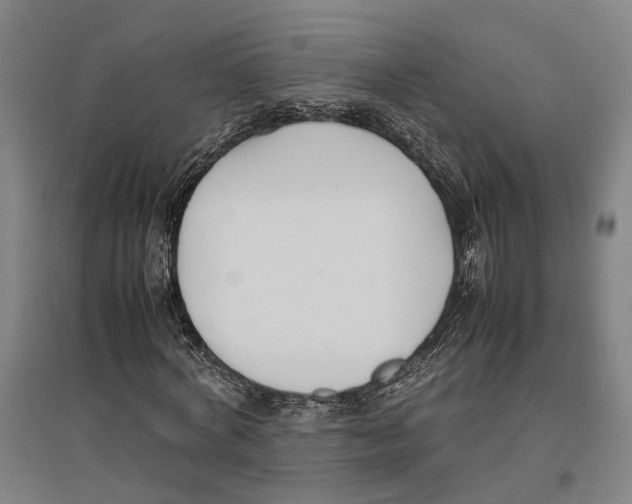 X0000096650772200803041148