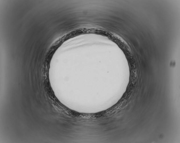 X0000096650775200803041148