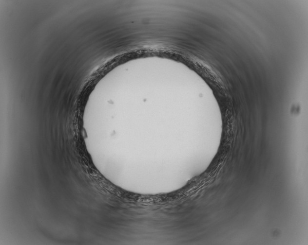 X0000096650776200803041148