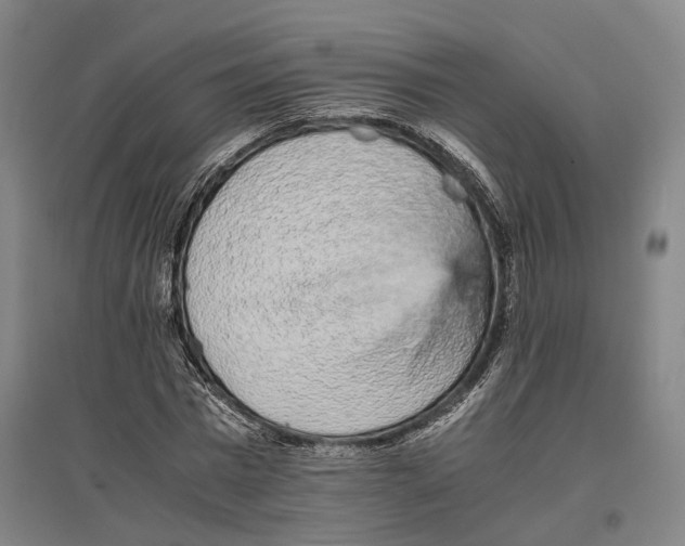 X0000096650777200803041148