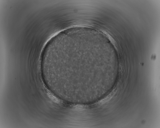 X0000096650779200803041148