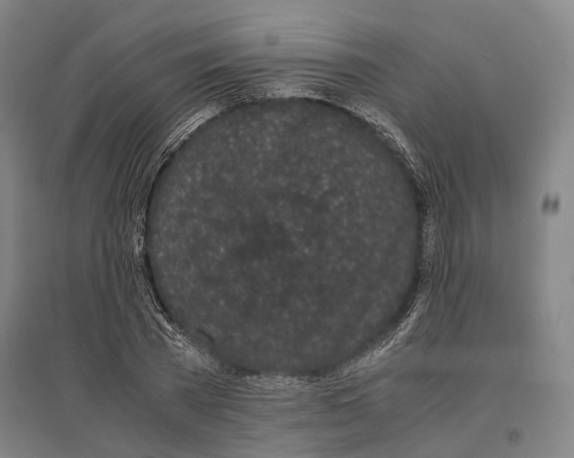 X0000096650785200803041148