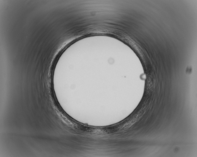 X0000096650787200803041148