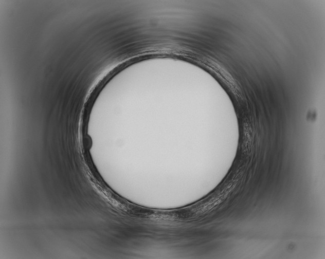 X0000096650788200803041148