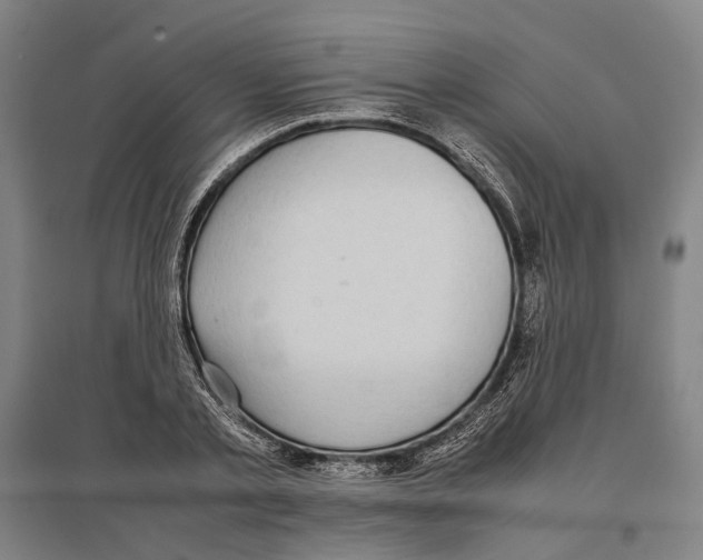 X0000096650789200803041148