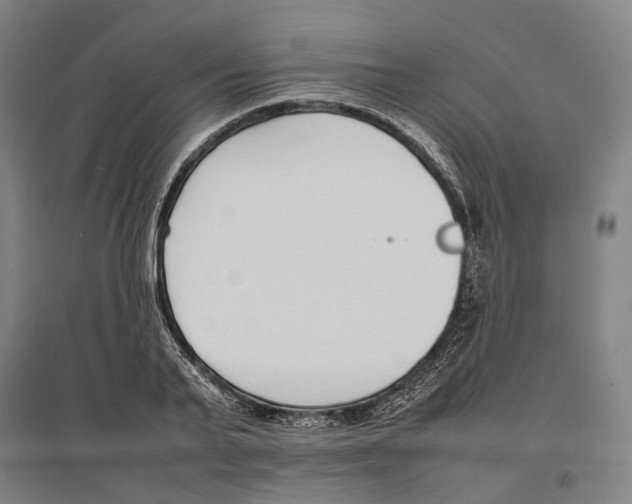 X0000096650791200803041148