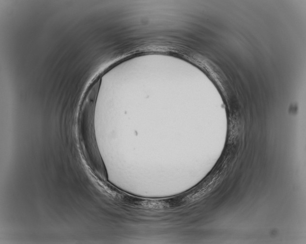 X0000096650795200803041148