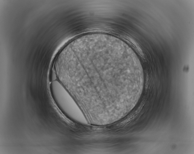 X0000096650796200803041148